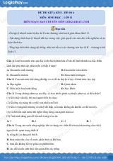 Đề kiểm tra giữa kì 2 Sinh 11 - Đề số 4 có lời giải chi tiết